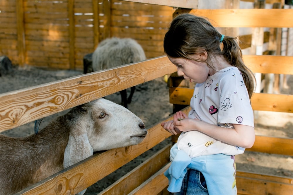 Free farms in London