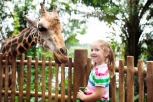 May Half Term Activities in London