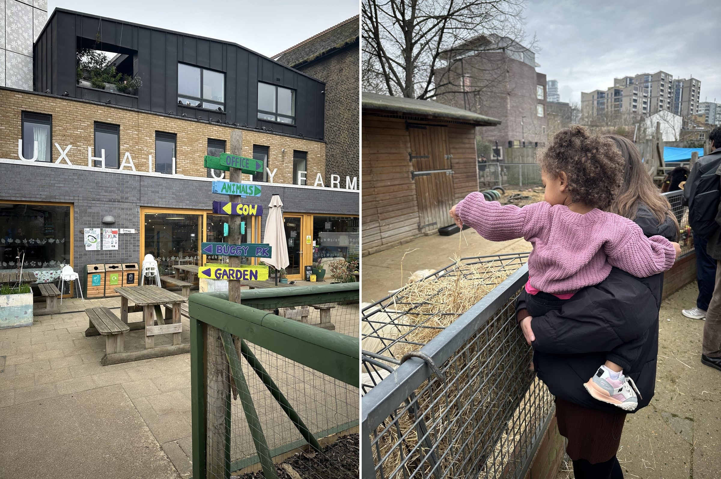 A toddler visiting a city farm, one of many fun things to do with toddlers in London