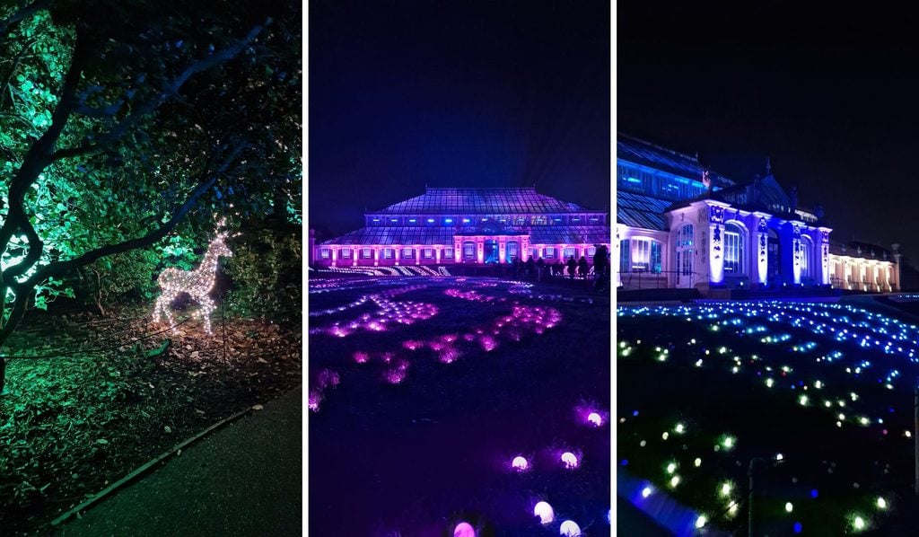 Christmas at Kew light trail, with the Temperate House lit up at night, one of many fun things to do with kids in London