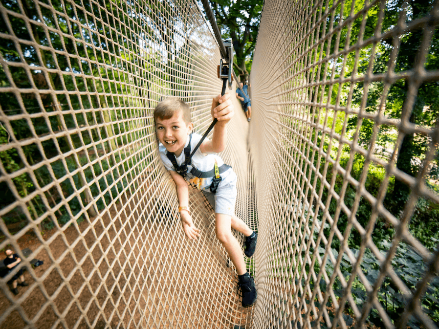 Treetop Adventure Plus, Alexandra Palace
