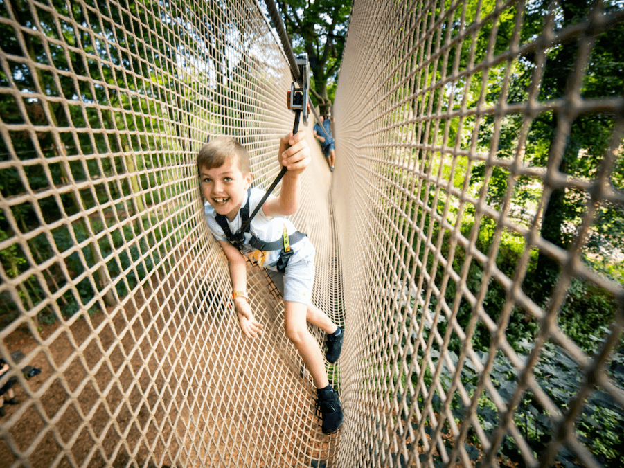 Treetop Adventure Plus, Battersea Park