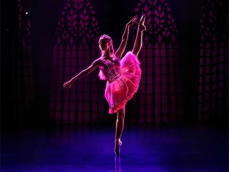 Ballet of Lights: Sleeping Beauty Sparkling Show