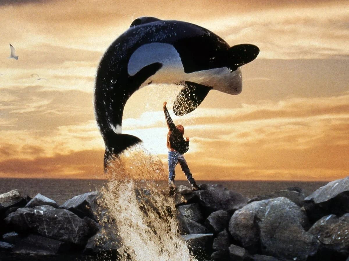 Family Films: Free Willy