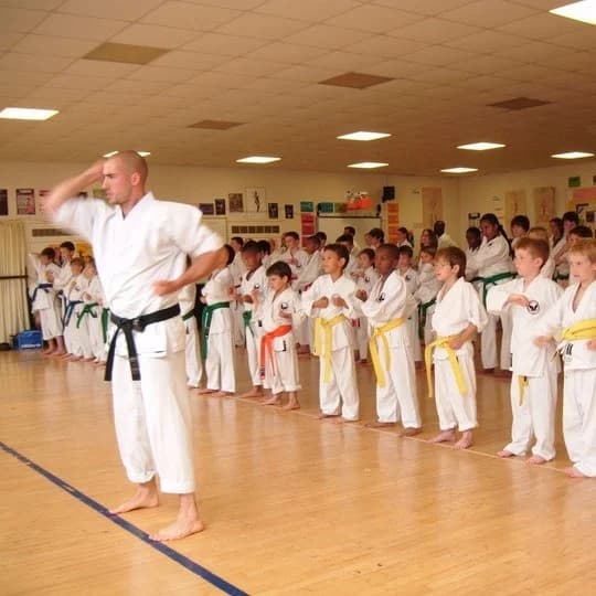 Kenshukai Children's Karate Class