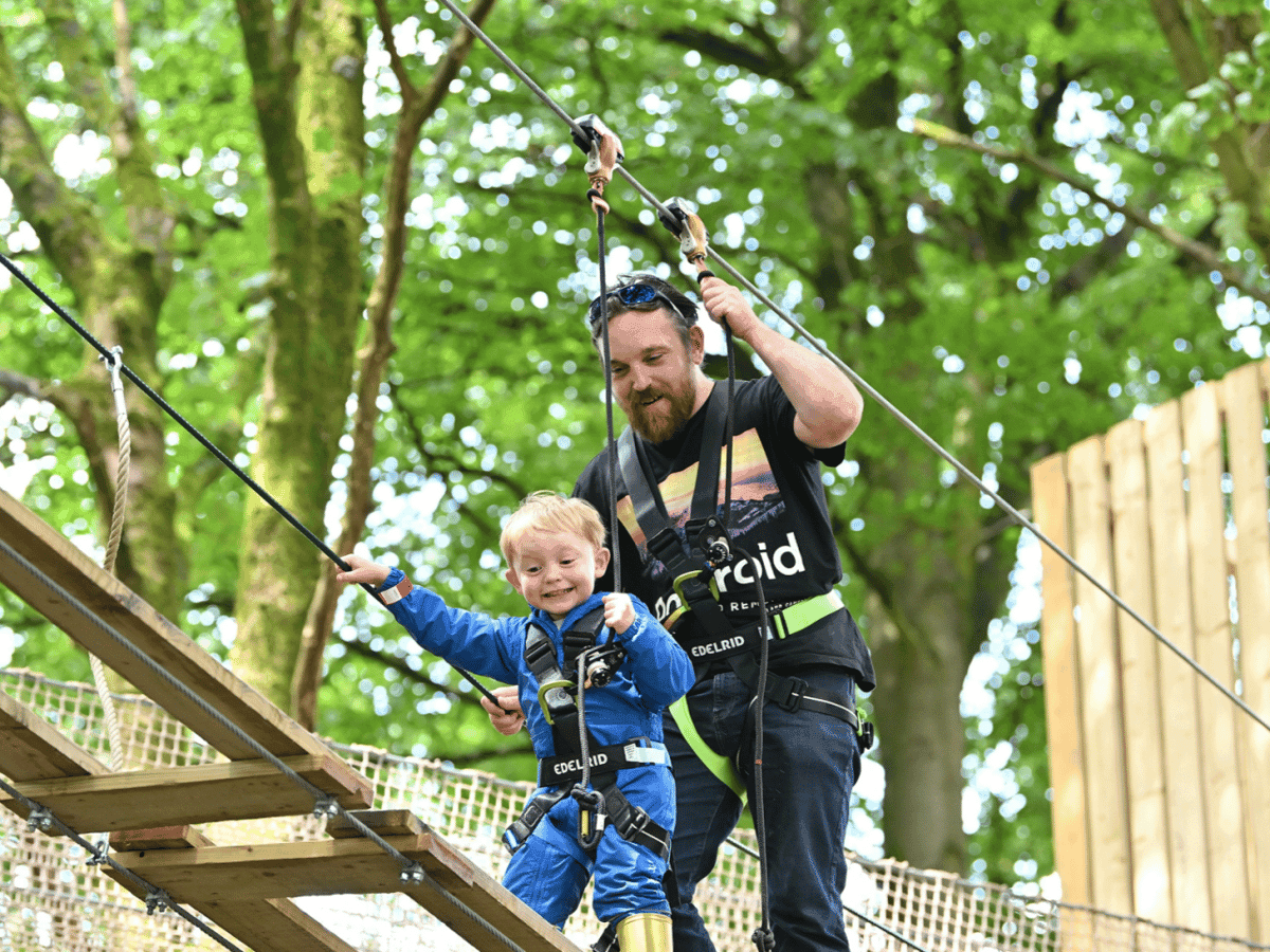 Treetop Egg-Venture Alexandra Palace