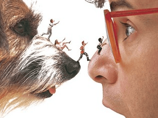Family Film: Honey I Shrunk The Kids