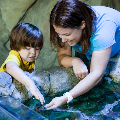 SEA LIFE London Aquarium