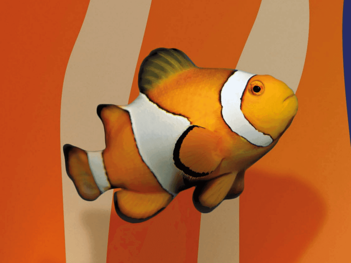 Colourful Creatures Half Term at SEAlife